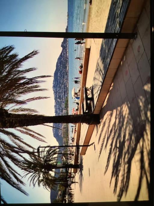 Spacieux Appartement Rose Front Mer Et Piscine Roses Eksteriør billede